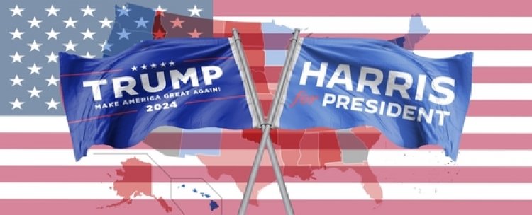 Tellwut Survey Results: Kamala Harris vs. Donald Trump Debate Analysis