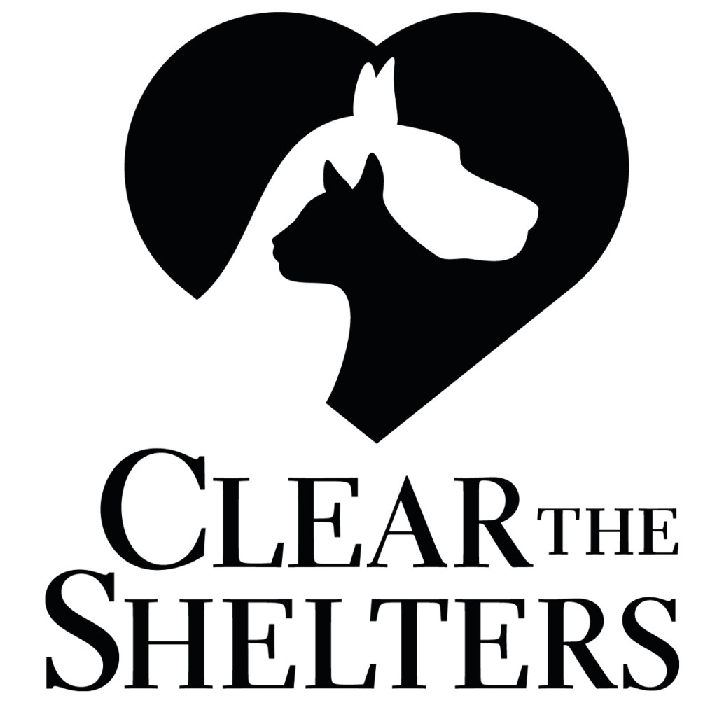 Clear Shelters Day