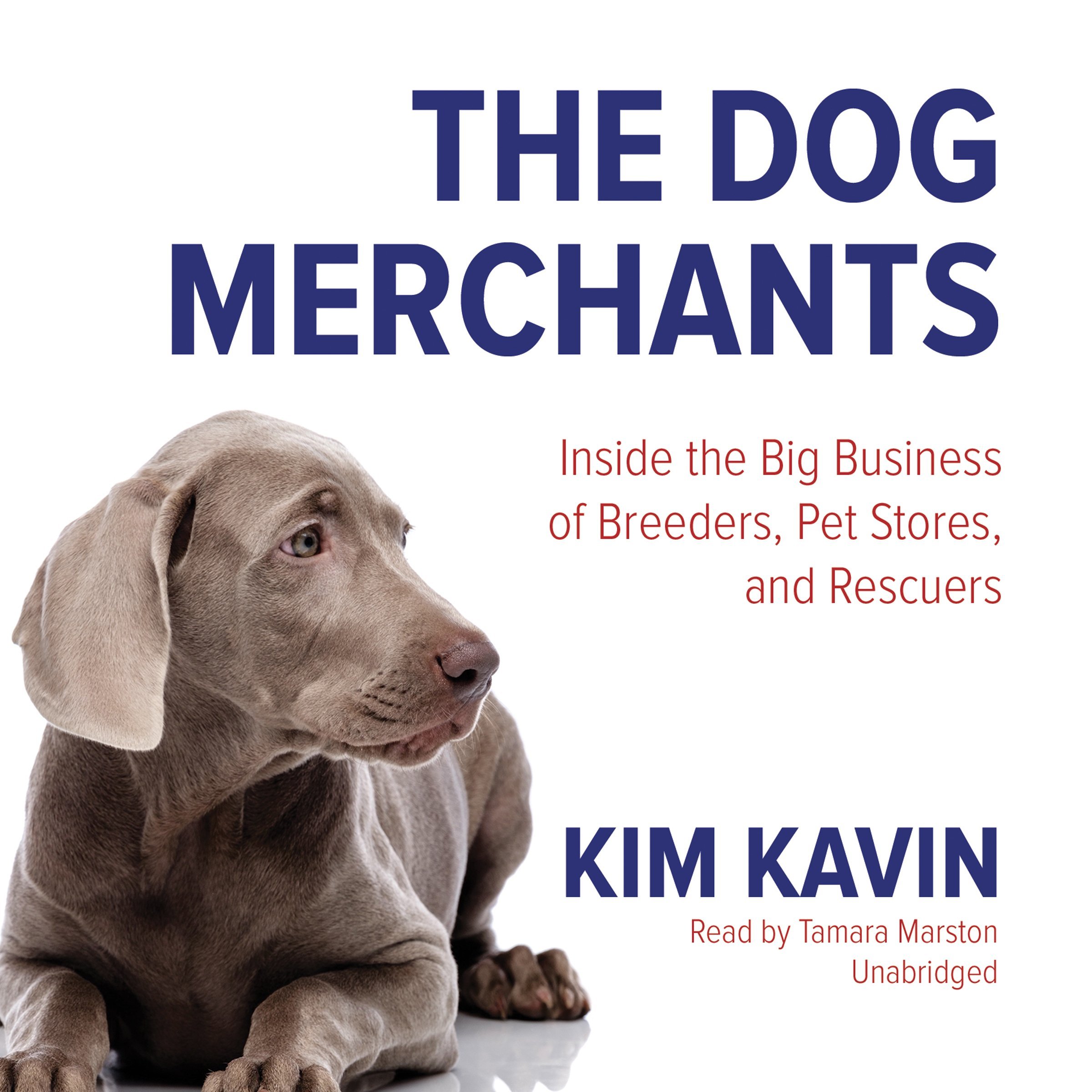 The dog merchants | Tellwut.com