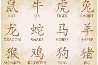 Do you agree with your Chinese zodiac traits?