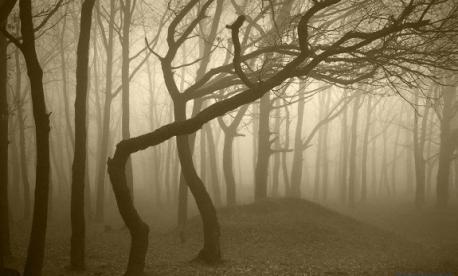 It is quite hard to ignore the fact that something is going on in this haunted forest that we may not understand entirely. Have you been in a haunted forest with similar unexplained paranormal activities like the Hoia Baciu?