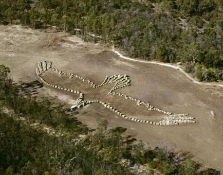 Bunjil Geoglyph, Australia: This photo shows geoglyph called Bunjil, which in aboriginal language means Eagle. It was constructed in 2006 by world-renowned Australian artist Andrew Rogers at the You Yangs National Park in Victoria, Australia. The creature has a wing span of 100 meters (330 ft) and 1500 tonnes of rock were used to construct it. Have you ever heard of the Australian artist Andrew Rogers that constructed this massive Eagle rock formation?