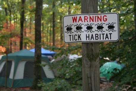 How To Prevent Seed Ticks. What facts are you familiar with?