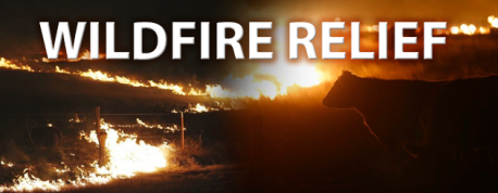 Have you ever made a donation to help with the 2017 wildfire relief funds?