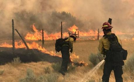 Do you know of anyone (volunteers, firefighters, national guard, respondents, ect.) that has been involved with battling the 2017 wildfires?