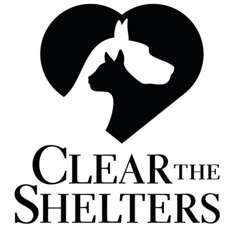 Today (August 19) is clear the shelters day in my area. Have you ever adopted an animal?