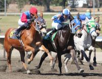 Horse racing is popular around the world - which of these other types of animal racing are you familiar with ? ----- Mule racing