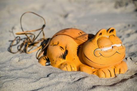 For more than 30 years, pieces of Garfield telephones kept washing ashore on the beaches of northwestern France, and no one quite knew why. Garfield phones were manufactured by Tyco in the early 1980s, several years after Jim Davis created the famously lazy cat into his hit comic strip. The phone parts were in remarkable condition, given that they had washed ashore from the ocean. In 2018 alone, at least 200 pieces of Garfield had been found on the beaches. And just last month, the mystery was finally solved. The phones were in a shipping container that sunk, and somehow wedged itself into a seaside cave, completely submerged, allowing the full shipment of toy phones to float into the ocean for all those years. I remember a few years ago, while walking on a beach in Mexico, we came across a prosthetic arm, which made us wonder what the back story was. Have you ever discovered something on a beach that made you wonder how it got there?