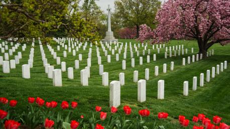 The Arlington National Cemetery is where mostly former-late presidents and spouses are buried as well as members of the military, astronauts and others with their spouses. This is made up of 12 acres of the land of the Custis Lee Mansion Have you been there or read about it?