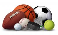 If you have children who play sports or participate in other physical extra curricular activities, which ones are they involved in?