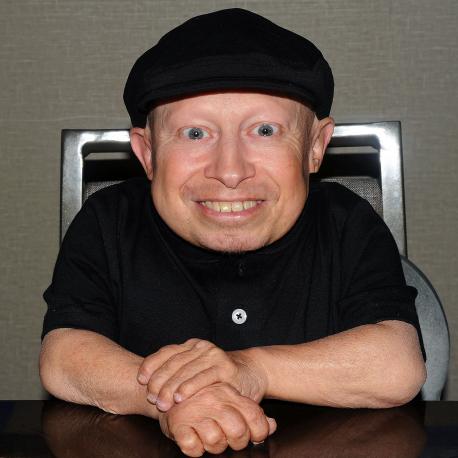 Verne Troyer - as Mini-Me in the Austin Powers films, this was the guy Fat Bast*rd wanted to get in his belly. Also been in Men in Black, Fear and Loathing in Las Vegas and numerous TV shows as himself. Was 2 ft, 8 in tall. What term do you tend to use for a very short person?