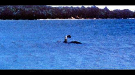 Other beasties? Many areas have legends of a creature, spirit, or something of past perhaps still present. (One in the pic supposedly living in Lake Champlain, Michigan I heard of while there). Have you heard such tales where you are? If so, feel free to let us know in replies.