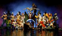 How much would you rate Cirque Du Soleil?