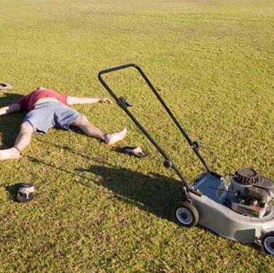 Do you enjoy mowing your yard?