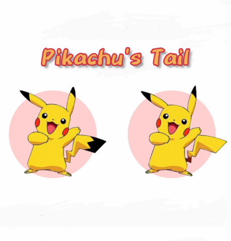 Last question, I promise (Apologies for making Part 1 too long - I honestly believed it would be enjoyable.) My belief was wrong on that so let's see about your beliefs. What color do you believe Pikachu's tail has always been?