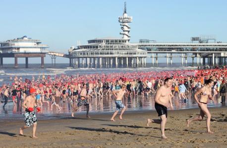 What polar bear plunge facts are you familiar with?