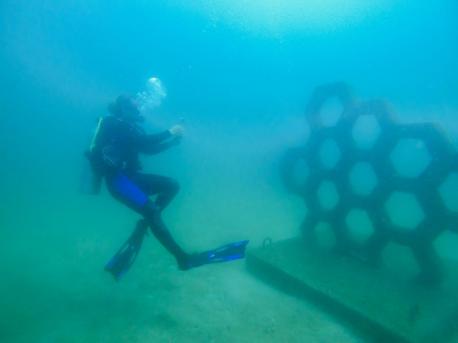 The Underwater Museum of Art in Santa Rosa Beach, Florida-----If you've caught yourself gazing at a museum exhibit and thinking, 