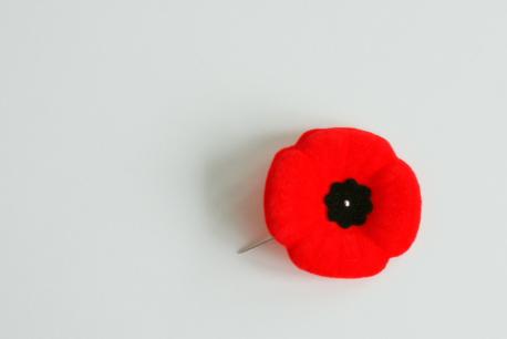 Did you wear a poppy pin on Remembrance Day?