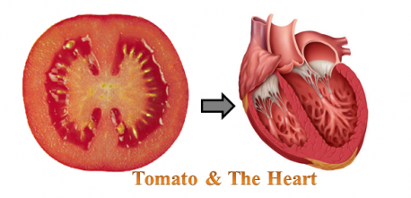 Tomato/Heart