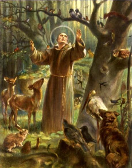 Saint Francis of Assisi, born Giovanni di Pietro Di Bernardone (1181/1182-1226) was an Italian Roman Catholic friar and preacher who was canonized on on July 16th,1228. Are you familiar with St. Francis?