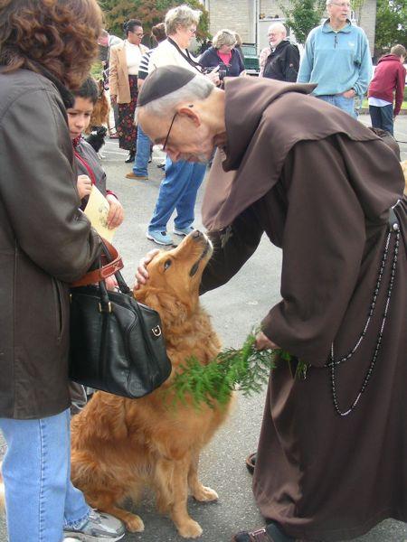 It became customary for Catholic and Anglican churches to hold ceremonies blessing animals on his feast day of October 4th. Did you know the Catholic church holds blessings for animals?