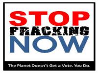 If you have already voted on an anti-fracking initiative, how did you vote?