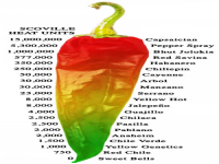 Are you aware of the Scoville scale, that gives ratings to the heat to spicy food items?