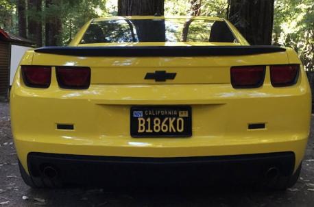 Legislation introduced the California Legacy License Plate program offering vehicle owners the opportunity to purchase replicas of California license plates similar to those issued in the 1950s, 1960s, and 1970s. Check off what is true for you: