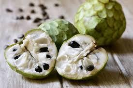 The cherimoya, also spelled chirimoya and called Chirimuya by the Inca people, is an edible fruit, generally to be native to Ecuador, Colombia, Peru and Bolivia then transported to the Andes and Central America. Today, cherimoya is grown throughout South Asia, Central America, South America, California, Hawaii, southern Europe, East Africa, Kisii in particular and northern Africa. Mark Twain called the cherimoya 