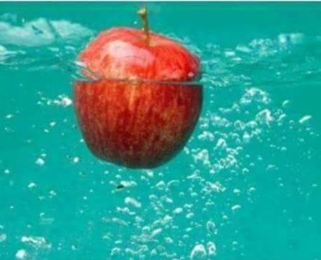 Were you aware that apples are 25% air and therefore float in water?
