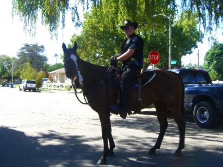 London's Bow Street Horse Patrol became the first recorded mounted police force in 1758. Their duties include: conducting patrols on horseback and assisting with crowd control at events [commonly said in the industry that a mounted officer is comparable to ten or more officers on foot in such situations]. Mounted officers may also be involved with other duties such as search and rescue operations, traffic control, and the pursuit of suspects. Do you have a mounted police unit in your area?