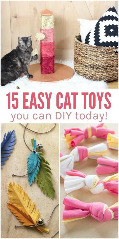 Do you have any suggestions on how to make cat toys or a site you would suggest?