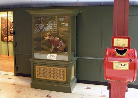 By 1897, Owney's health had declined, he had mobility issues, and his temperament had changed. The postmaster in Toledo, Ohio had him put down after he bit a clerk. Postal workers raised funds to have his body preserved. Since 1993, Owney is on display in a case in Washington DC in the Smithsonian National Postal Museum. Do you approve of taxidermy preservation of pets?