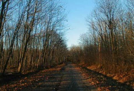 A tragic accident involving a troop of boy scouts means a road in Stevens Point, Wisconsin is rife with ghost stories. Known locally as Boy Scout Lane, visitors to the area report hearing footsteps in the woods around them and seeing children's handprints on their vehicles. Does this sound like a street you want to drive down, alone, at night?