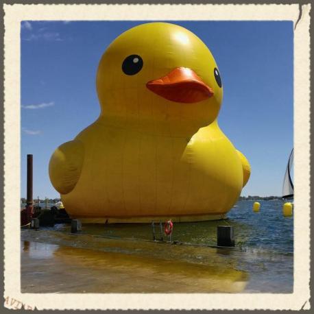 Mama Duck has been travelling in Canada for the 150th Celebrations, have you been to any of these cities to see her?