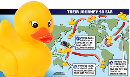 According to the World Shipping Council, an average of 779 containers were lost annually during the three year period 2017 to 2019- which is pretty typical. Obviously, the environmental impact is concerning. But, a number of scientists used that little flotilla of bath buddies to chart ocean currents. Why? Because the ducks are watertight and more likely than the floats normally used by scientists to be reported when spotted. And in related news, did you know that 109 containers of Yeti coolers went overboard back in September and are coming ashore in Alaska still?