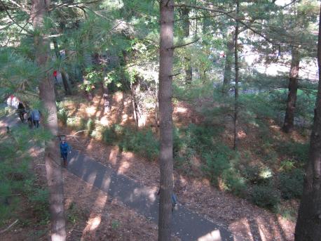 I thought this would be a great place to visit for our fall color tour and it did not disappoint. The newest renovation/addition to the property is the nation's longest canopy walk. It's 1,400 feet long and soars up to 40 feet above the ground. Would you like to take a walk on this canopy?