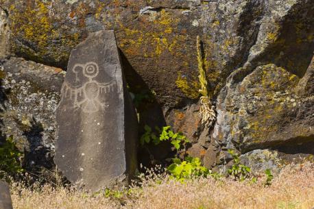 Washington: Tsagaglalal, at Columbia Hills Historical State Park - Inside Columbia Hills Historical State Park along the Columbia River near Dallasport lies a true treasure: Native American petroglyphs at Horsethief Lake. Among the most studied is Tsagaglalal (which means 