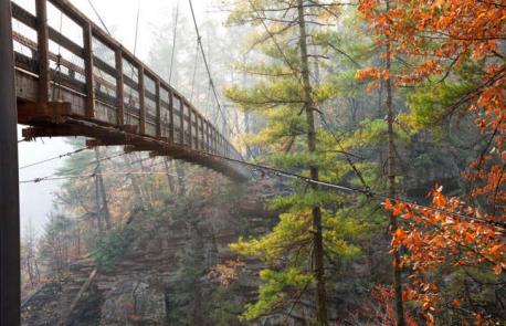 Georgia: Tallulah Gorge Bridge - Swaying at 80 feet (24m) above the whitewaters of the Tallulah River, this dizzying bridge is the backdrop for the thundering Hurricane Falls. But I think its elegant wooden expanse is a sight to behold in itself. Have you ever visited this bridge?