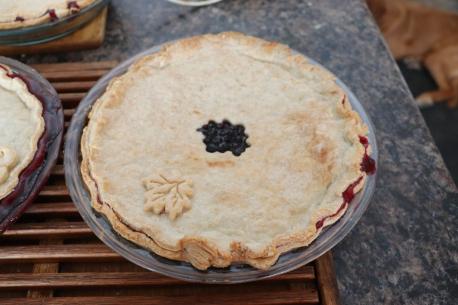 Saskatchewan - Saskatoon berries look like blueberries, but are more closely related to apples. The berries have a sweet almond flavor, and the plant is indigenous to western Canada. Saskatoon berries have long been a key part of the regional diet starting with the First Nations. Today, many people from Saskatchewan go out and pick wild berries themselves. One of the most popular uses is Saskatoon berry pie made with the berries, lemon, and almonds. The pie is so popular it even has its own postage stamp. Have you ever eaten this food?