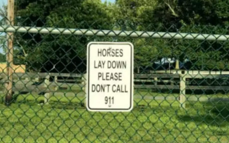 Obviously, this sign was posted because these poor horse owners were dealing with a few too many concerned citizens. While it's great that they're worried about the health and safety of the horses, the animals probably don't want to be disturbed by police sirens when they're simply taking a nap. Remember, horses do lie down. Do you have a horse?