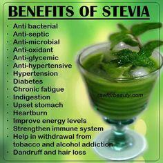 Do you believe any of the health benefits Stevia supposedly has?